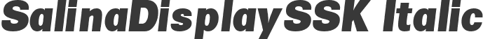 SalinaDisplaySSK Italic