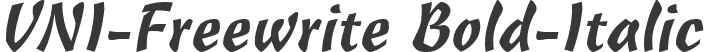 VNI-Freewrite Bold-Italic