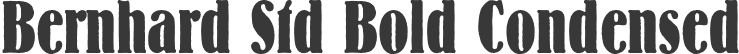 Bernhard Std Bold Condensed