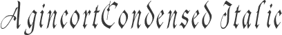 AgincortCondensed Italic