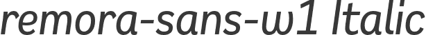 remora-sans-w1 Italic