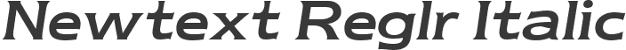 Newtext Reglr Italic