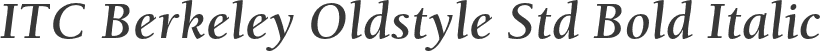 ITC Berkeley Oldstyle Std Bold Italic