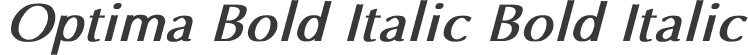 Optima Bold Italic Bold Italic