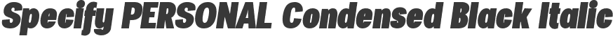 Specify PERSONAL Condensed Black Italic