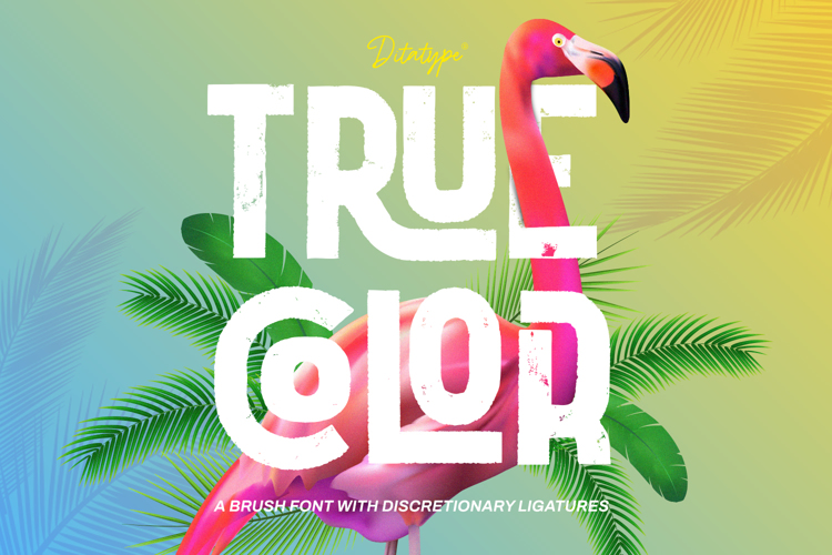 Truecolor Font