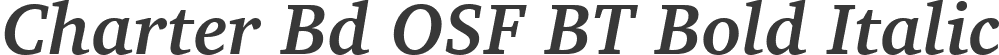 Charter Bd OSF BT Bold Italic