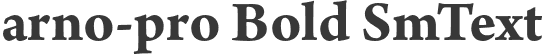 arno-pro Bold SmText