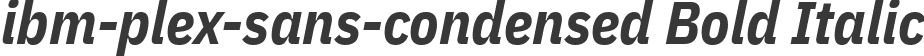 ibm-plex-sans-condensed Bold Italic