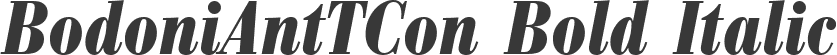 BodoniAntTCon Bold Italic