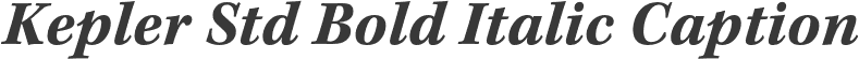 Kepler Std Bold Italic Caption