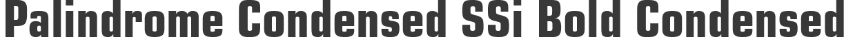 Palindrome Condensed SSi Bold Condensed