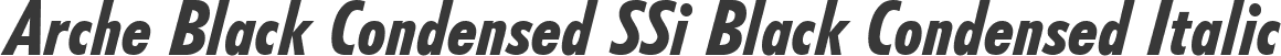 Arche Black Condensed SSi Black Condensed Italic