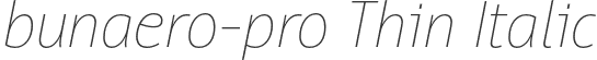 bunaero-pro Thin Italic