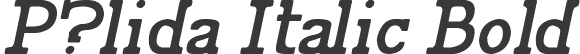 P?lida Italic Bold