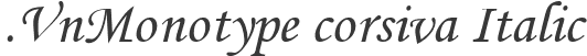 .VnMonotype corsiva Italic