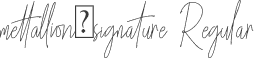 mettallion-signature Regular