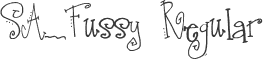 SA_Fussy Regular