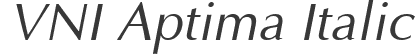 VNI Aptima Italic