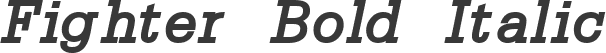 Fighter Bold Italic