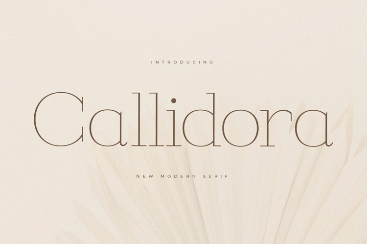 Callidora Font