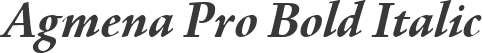 Agmena Pro Bold Italic