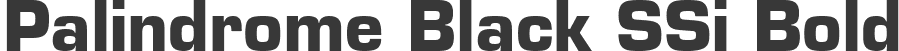 Palindrome Black SSi Bold