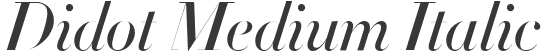 Didot Medium Italic