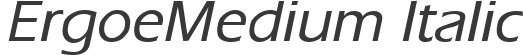 ErgoeMedium Italic