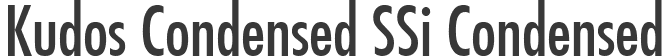 Kudos Condensed SSi Condensed