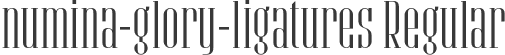 numina-glory-ligatures Regular