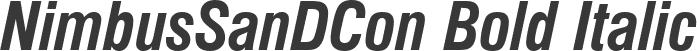 NimbusSanDCon Bold Italic