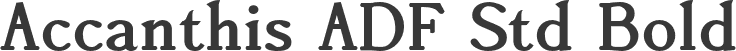 Accanthis ADF Std Bold