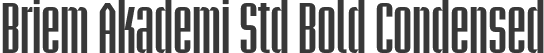 Briem Akademi Std Bold Condensed