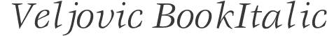 Veljovic BookItalic