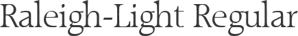 Raleigh-Light Regular