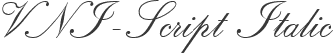 VNI-Script Italic