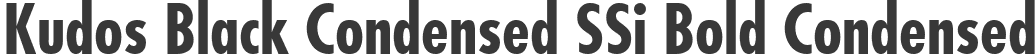 Kudos Black Condensed SSi Bold Condensed