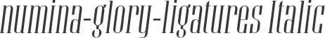 numina-glory-ligatures Italic