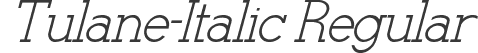 Tulane-Italic Regular