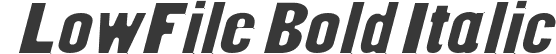 LowFile Bold Italic