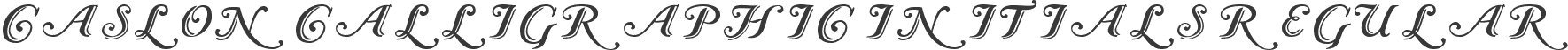 Caslon Calligraphic Initials Regular