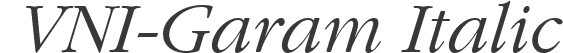 VNI-Garam Italic