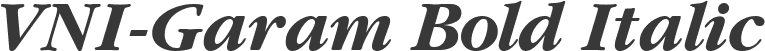 VNI-Garam Bold Italic