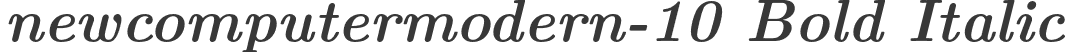 newcomputermodern-10 Bold Italic