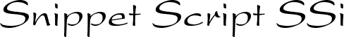 Snippet Script SSi Regular