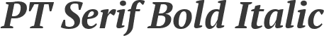 PT Serif Bold Italic