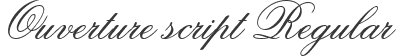 Ouverture script Regular