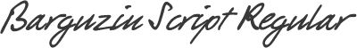 Barguzin Script Regular