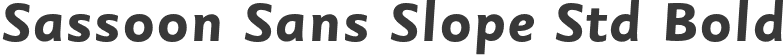 Sassoon Sans Slope Std Bold